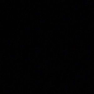 Meet your Posher, Gavin